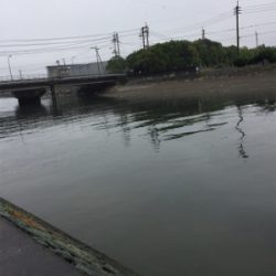 シーバス求めて