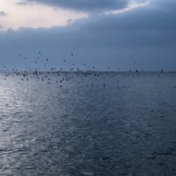 ラピードF160でまさかの…笑