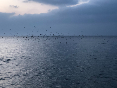 ラピードF160でまさかの…笑