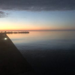 コウイカエギング