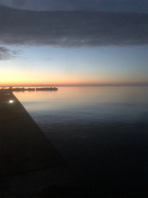 コウイカエギング