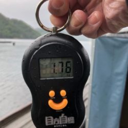 超久々にエギでキロアップ