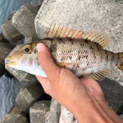 出雲〜萩尾にて