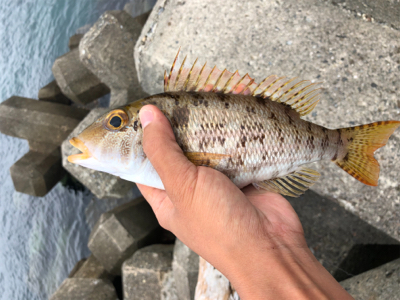 出雲〜萩尾にて