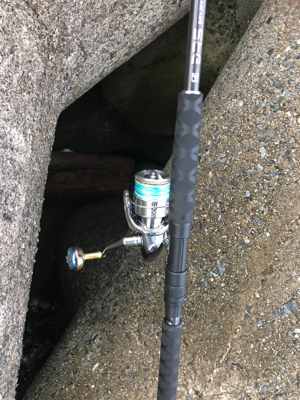 サワラ?サゴシ?今日は月曜日?