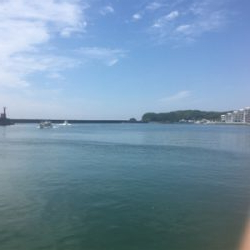 小鯖と豆鯵タカノハ鯛