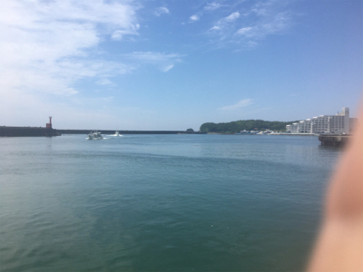 小鯖と豆鯵タカノハ鯛