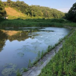 真夏のカバーゲーム