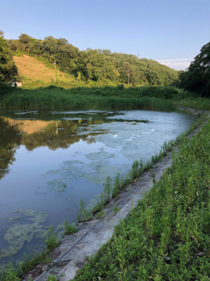 真夏のカバーゲーム