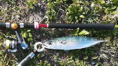 メバリング1905〜1930