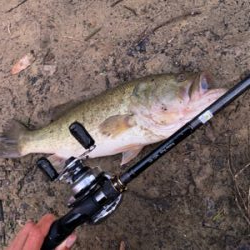 入魂フィッシュ