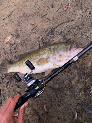 入魂フィッシュ