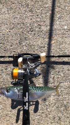 サバゲー楽しい!