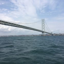 知り合いの船で明石タコ釣り