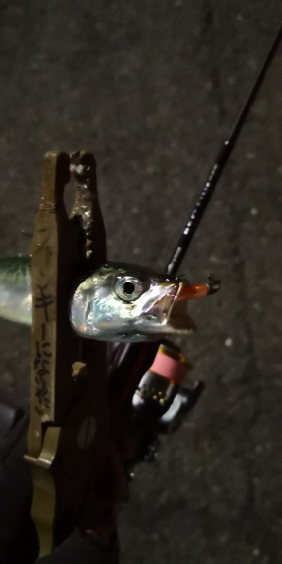 アジング練習 150