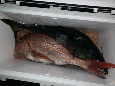 丹後沖ジギング