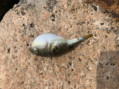 キス狙いでしたが…