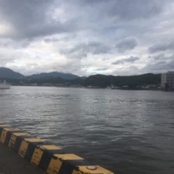 小鯖泳がせでツバス