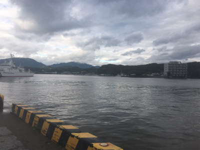 小鯖泳がせでツバス