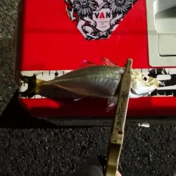 アジング練習 151