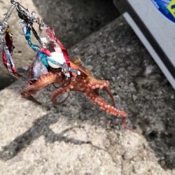 活性低めでした