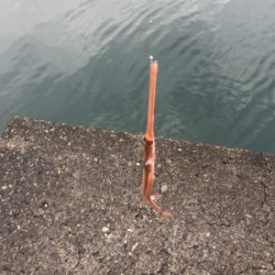 ライトロックゲーム