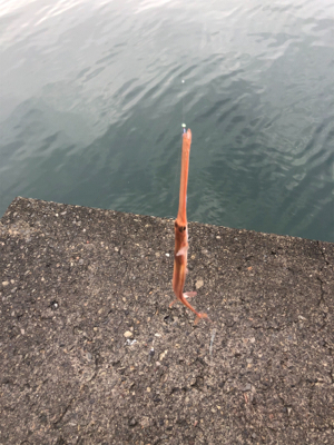 ライトロックゲーム