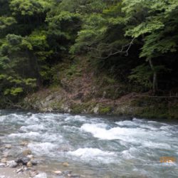 増水後、いかに?