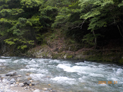 増水後、いかに?