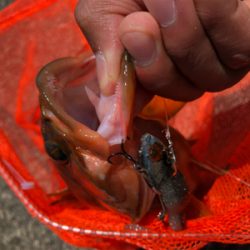 久しぶりの日本海