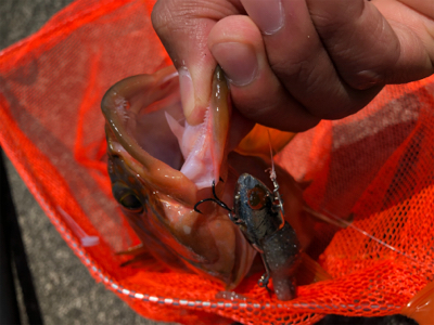 久しぶりの日本海