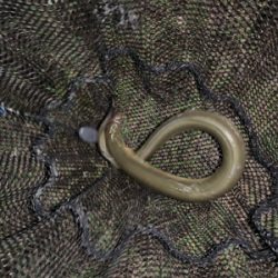 夕方のうなぎ釣り