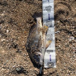 いい感じになってきました!