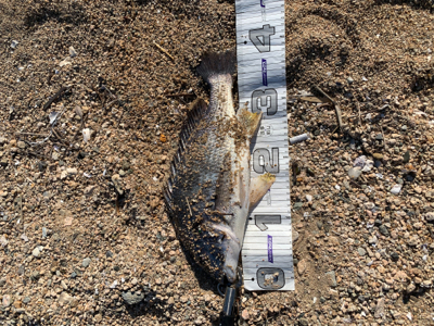 いい感じになってきました!