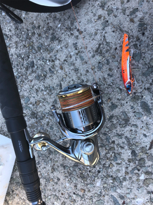 ちょっと調子に乗って貝塚釣行‼️