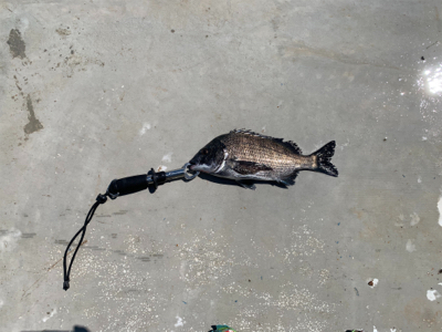 久し振りのフカセ