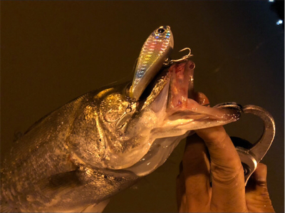 リバーシーバス！