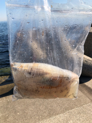 満潮1時間前‼️