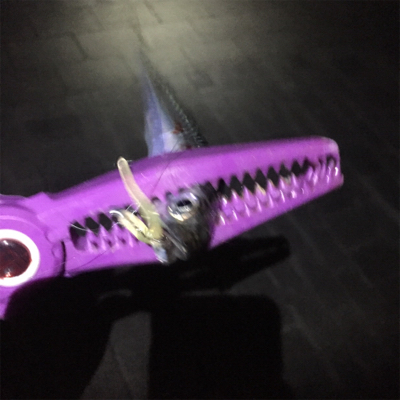 大阪湾奥アジング