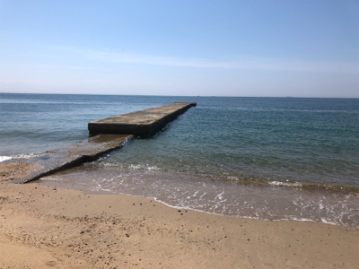 ピンギスならぬ豆ギスまつり