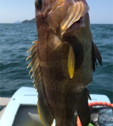 七目釣り達成!!マイボートでタイラバ釣行