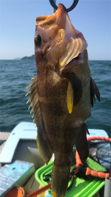 七目釣り達成!!マイボートでタイラバ釣行