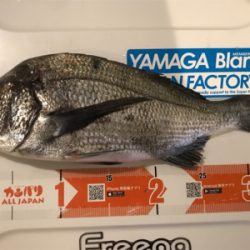 嵐のヒトツテンヤ