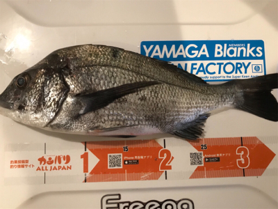 嵐のヒトツテンヤ