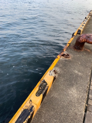 朝まづめのオクトパッシング