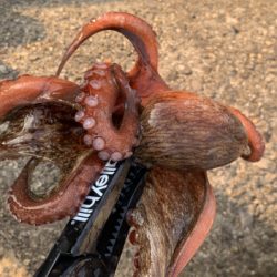 仕事帰り1時間！