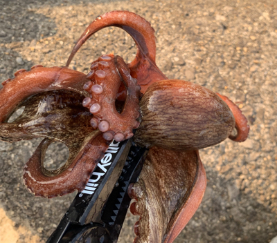 仕事帰り1時間！