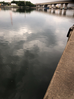 短時間アジング