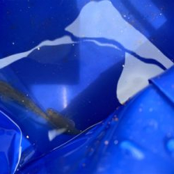 ハゼ釣りなどなど