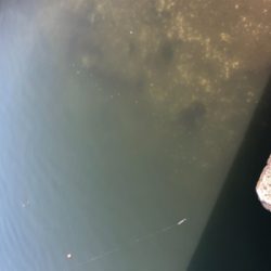 連日短時間アジング